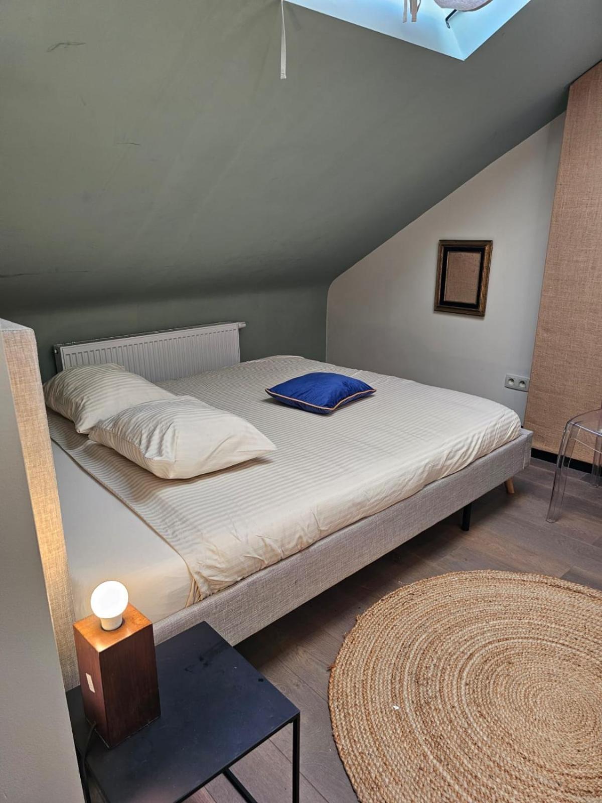 Appartement Sympathique 迪南 外观 照片